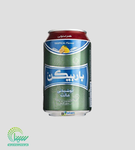 باربیکن/قوطی استوایی 330 میلی
